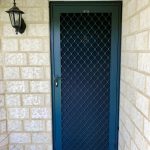 security mesh door