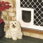 Pet Door